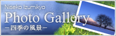 Photo Gallery　-四季の風景-